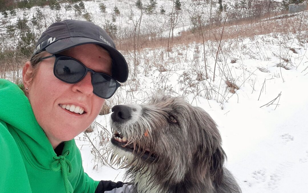Hire A Dog Walker Archives The Local Barker