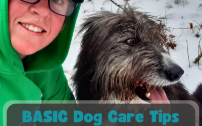 Basic Dog Care Tips EVERY Pet Parent Should Know