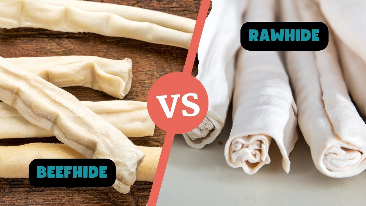 Beefhide Vs Rawhide What s The Difference