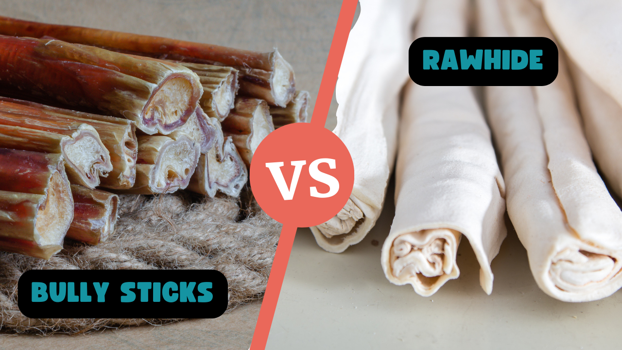 bully sticks vs rawhide cual es mejor para perros